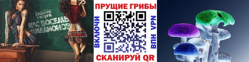 блэк спрут ССЫЛКА  Абакан  Галлюциногенные грибы Cubensis 